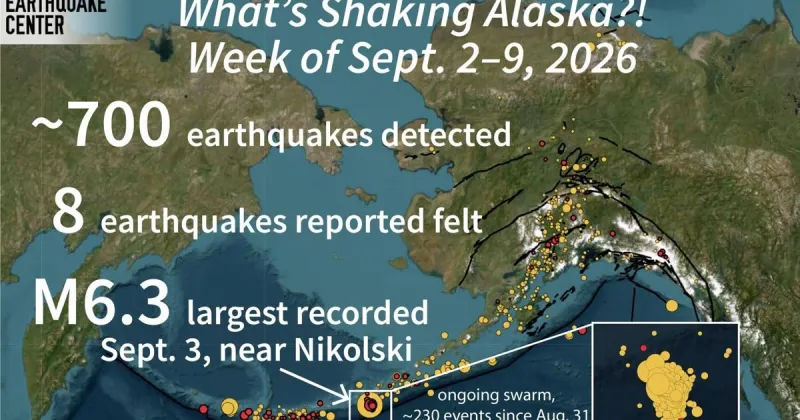 Earthquake swarms and Nikolski activity