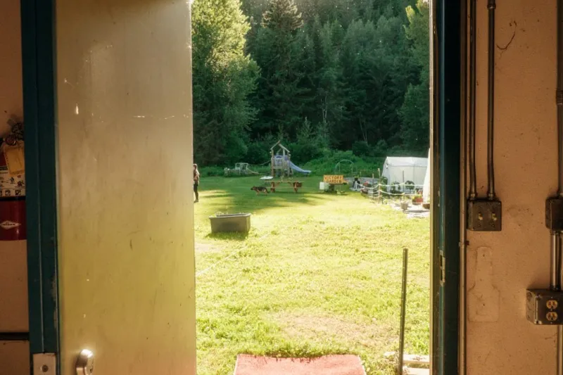 Eating well in the Chilkat Valley: Fall vegetables