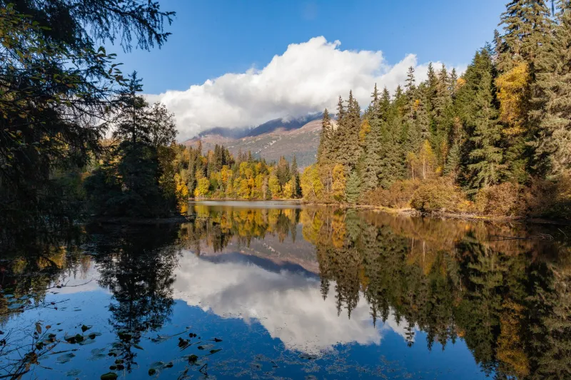 Listen: Candidates for Planning Commission at a forum in Mosquito Lake