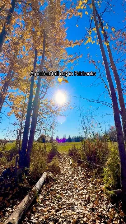 Fall in love with Fairbanks #explorefairbanks #fairbanks #alaska #fall #fallcolors #fallvibes (Video)