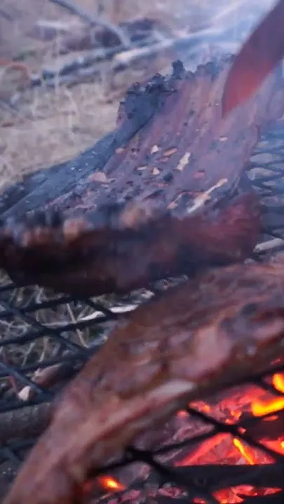 Far from any road. Off-grid. Open fire. Wild mountain goat ribs. #alaska #AlaskaLife  (Video)