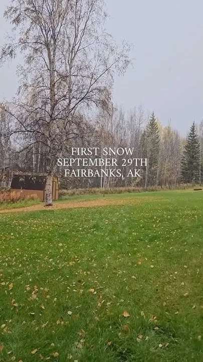 We saw our first snow yesterday #fairbanks #alaska #winter  @alaska_travel_il (Video)