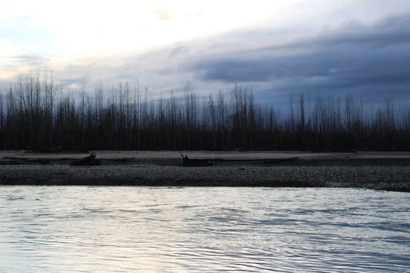Short-Term Erosion Mitigation Projects