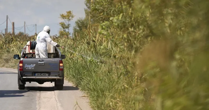 Killer mosquitoes, rabid bats and bear attacks - Climate change is making eco-horror feel real