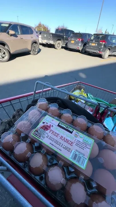 Operation Costco: Stocking the Cabin Before the Snow Hits #Alaska #CabinLife  (Video)
