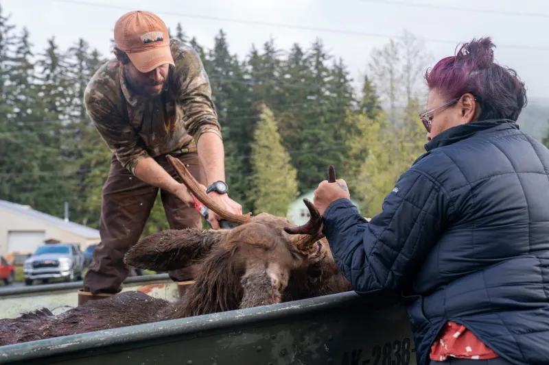 Moose season comes to a close, 25 moose harvested