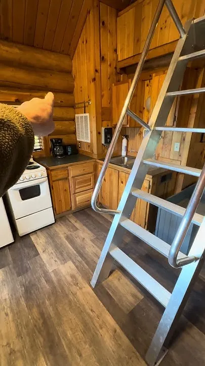 Cabin Life on Kenai River  #alaska #Cabin  (Video)