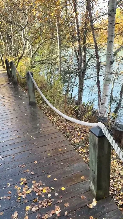 I can't get enough of it! Cabin life!  #Alaska #CabinLife #RiverLife #cabin #fallcolors (Video)