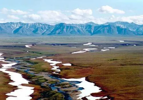 Sierra Club Slams Trump Administration's Decision to Bypass Environmental Reviews for Arctic Oil Drilling