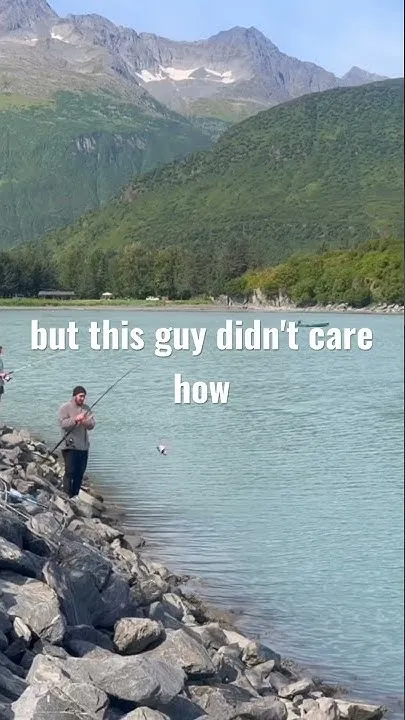 Watch Out For Sea Lions in Valdez, Alaska (Video)
