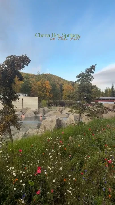 Fall at Chena Hot Springs #fairbanks #fairbanksalaska #hotsprings #alaska  @moods.by.mickee (Video)