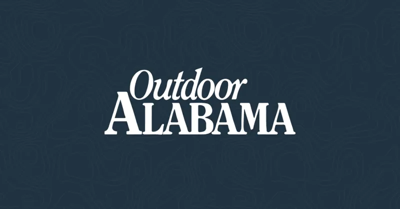 Alabama Catfish Trail Highlights Fishing and Food