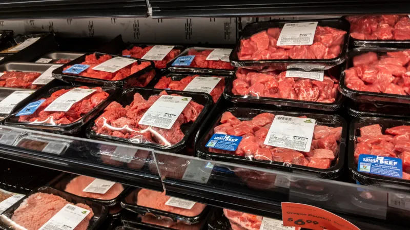 Sparks urges tougher testing of imported beef