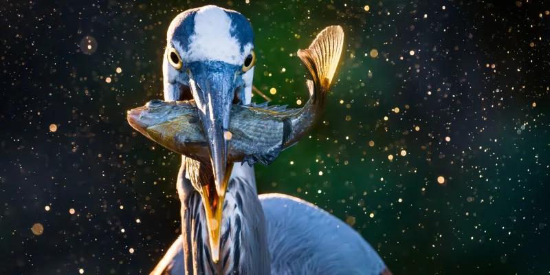 Got a great Alabama photo? Outdoor Alabama contest now accepting entries