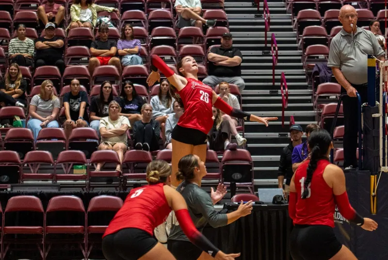 Gamecocks Fall Against Bellarmine and Western Carolina