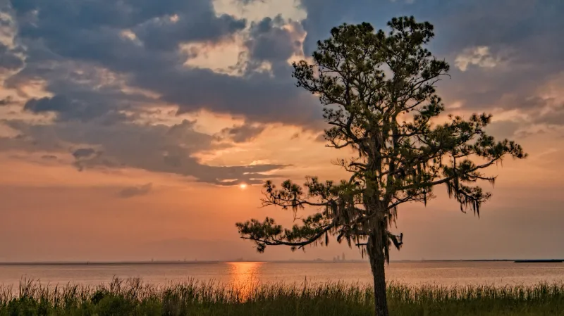 Mobile Baykeeper relaunches coastal Alabama water testing program
