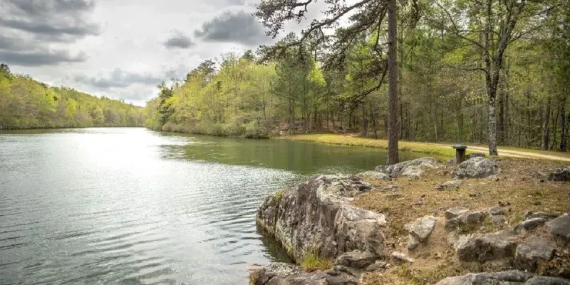Ivey announces Chris Blankenship retirement, names Ben Stimpson Jr. new conservation commissioner