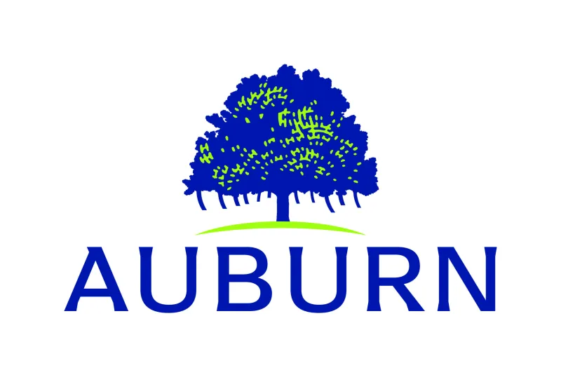 Auburn delays downtown lounge moratorium