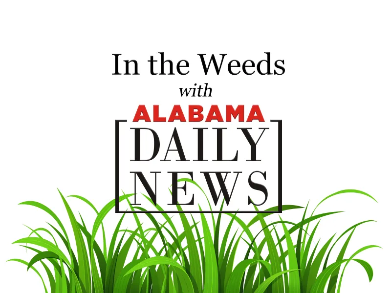 In the Weeds: A busy week for Alabama in Washington
