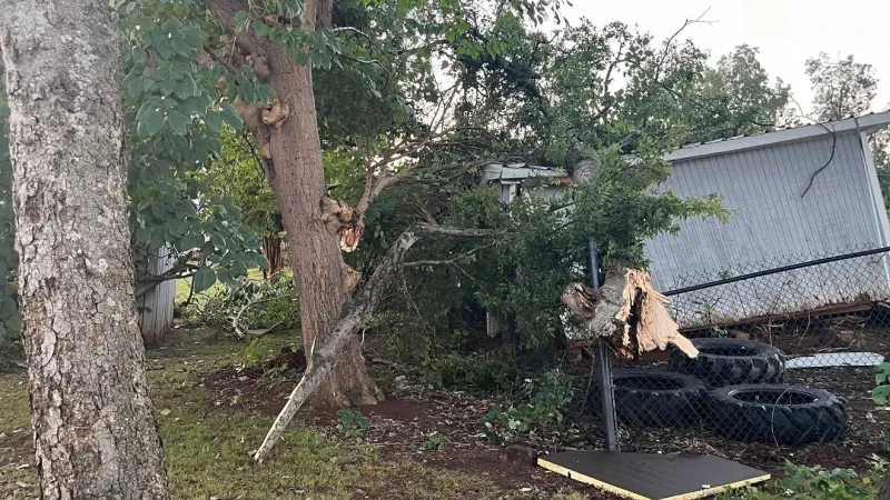 Photos: University of Montevallo shifts to remote learning Wednesday due to debris cleanup