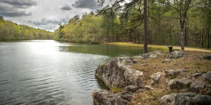 David Rainer: Public land increases significantly under Blankenship's leadership