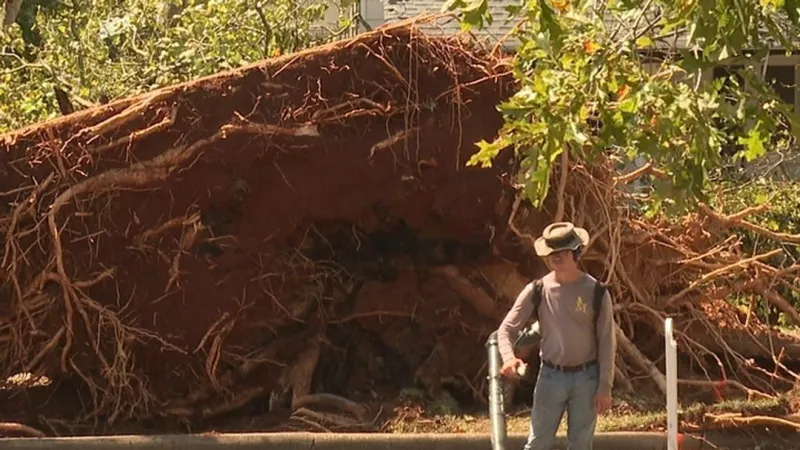University of Montevallo lost about 20 trees, three buildings damaged in storm