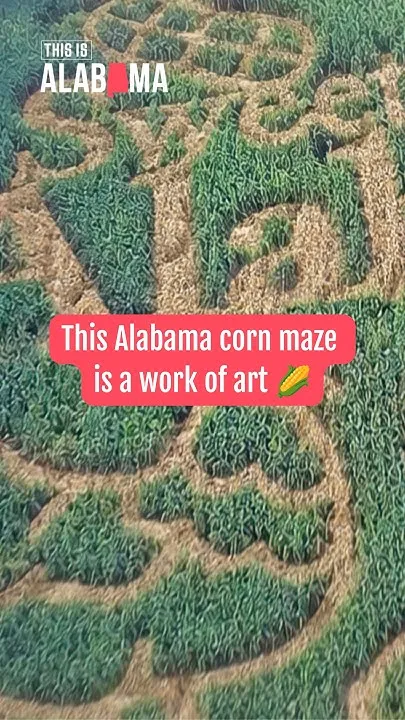 This Alabama corn maze is a work of art  (Video)