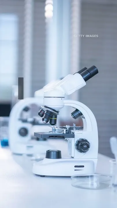 Woman dies after suspected lab accident at Russian plague institute (Video)