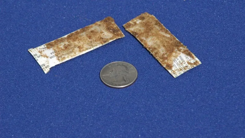USDA to drop more than 700,000 rabies vaccine baits across Alabama
