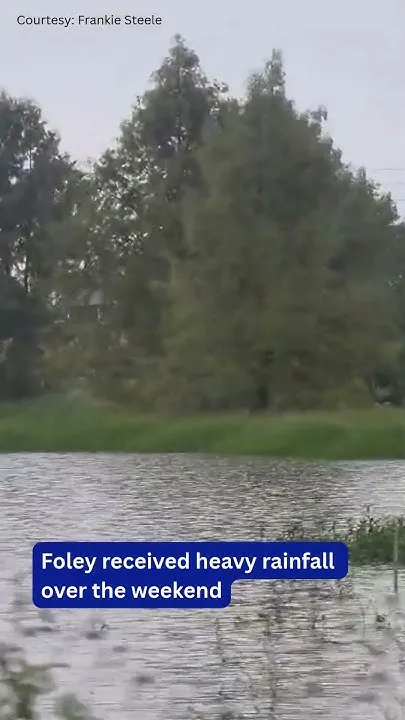 Flooding in Foley (Video)