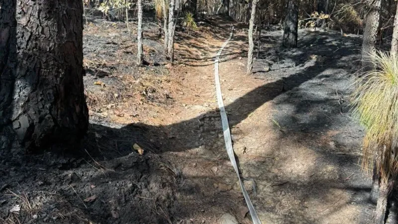 Oak Mountain State Park Wildfire Reaches 90% Containment