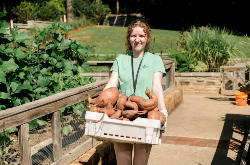 Fall Community Harvest turns garden bounty into community support