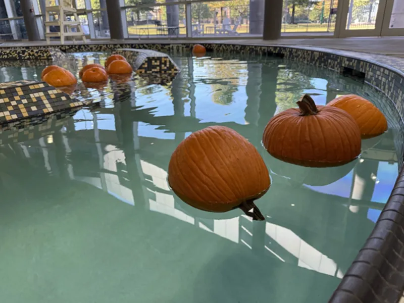 Pumpkins afloat at UAB