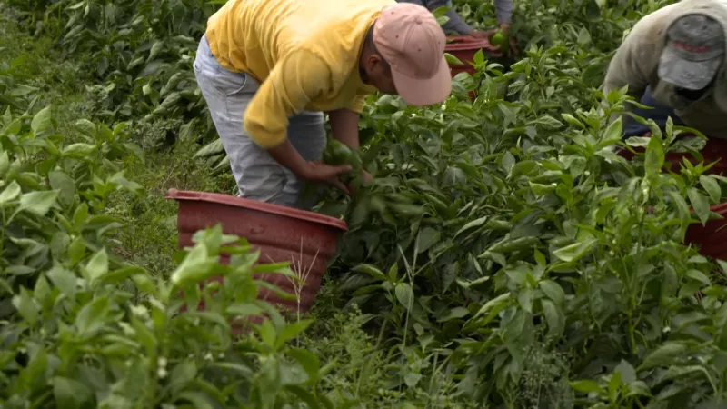Inflation is once again lifting earnings of NJs lowest-paid - NJ Spotlight News