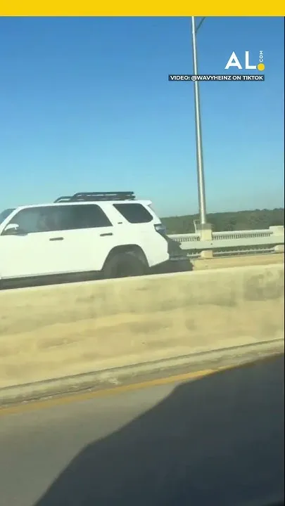 Loose cow backs up traffic on bridge (Video)