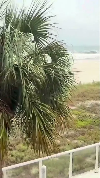 Hurricane Isaias update from Orange Beach (Video)