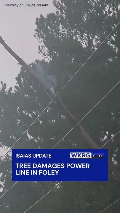 Damaged Power Line in Foley (Video)