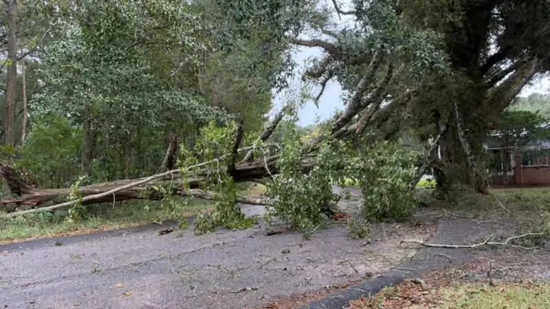 GALLERY: Local Hurricane Isaias impacts