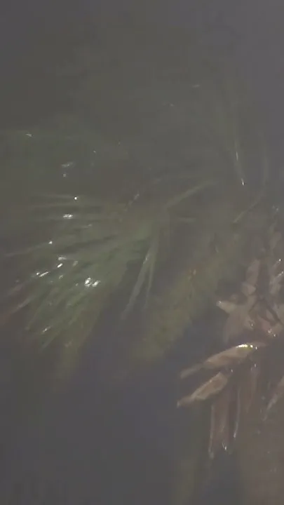 Hurricane Isaias update: Northwest Florida under flood threat (Video)