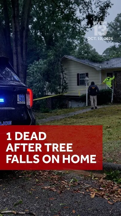 Hurricane Isaias leaves 1 dead in Birmingham after tree falls on home overnight (Video)
