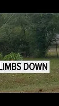 Cullman County cleans up after the storm (Video)