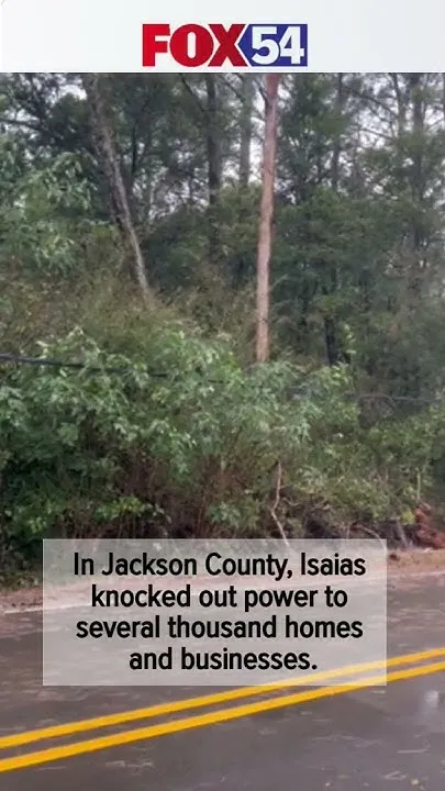 Trees and power lines fall in Jackson County, Ala., during storm (Video)