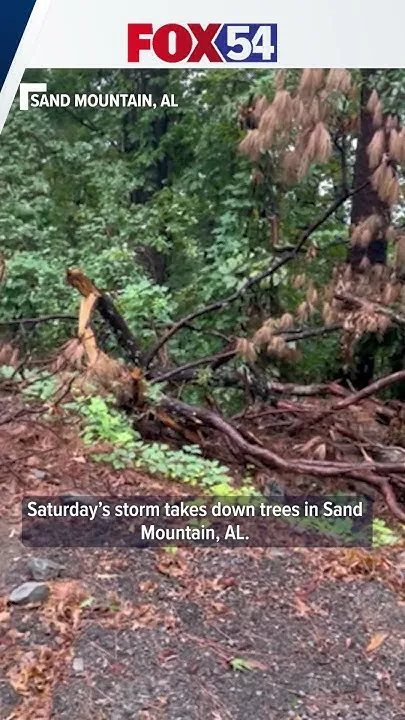 Saturday's storm takes down trees in Sand Mountain, Ala. (Video)