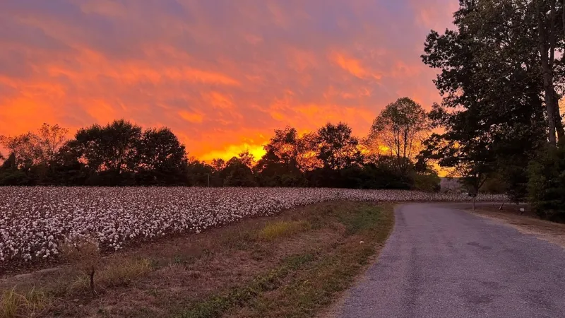 Alabama to see summer-like highs near 90 with crisp mornings in the upper 50s