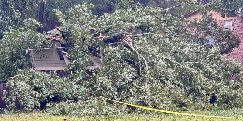 Authorities identify Birmingham man killed by falling tree during Isaias