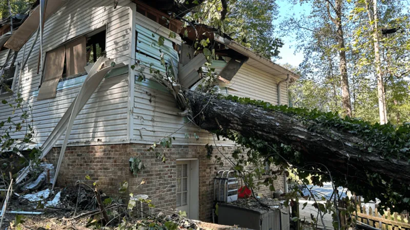 Hoover family survives tree crash during Hurricane Isaias