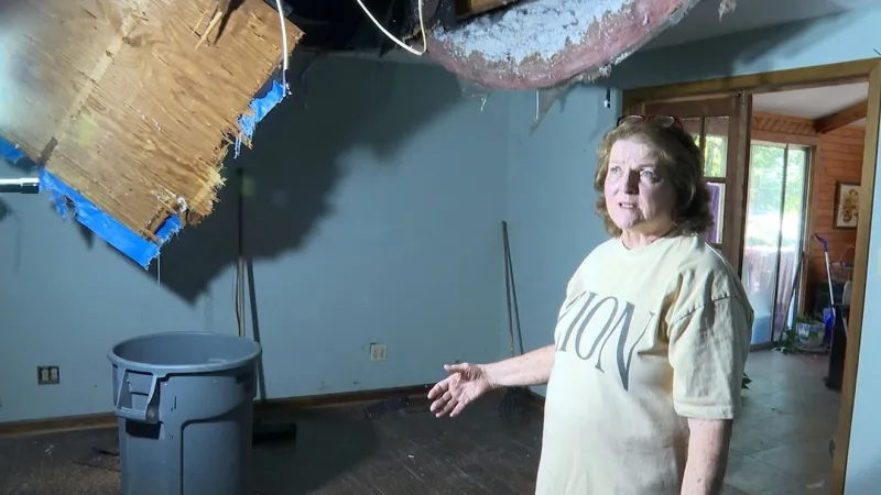 'A miracle': Sylacauga woman survives tree crashing into bedroom