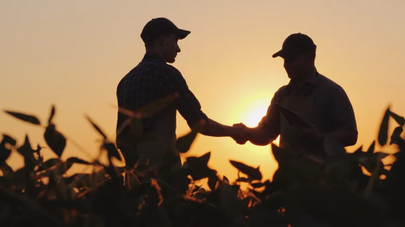 Opinion | Alabama farmers need results