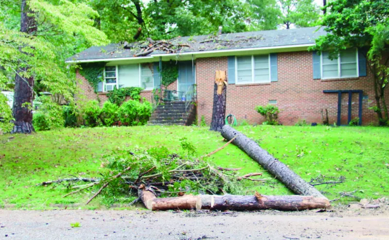 Hurricane Isaias brings downed trees, power lines