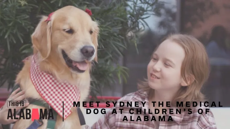 Sometimes the best therapist has fur and four paws: Meet Sydney, Children's of Alabama's medical dog